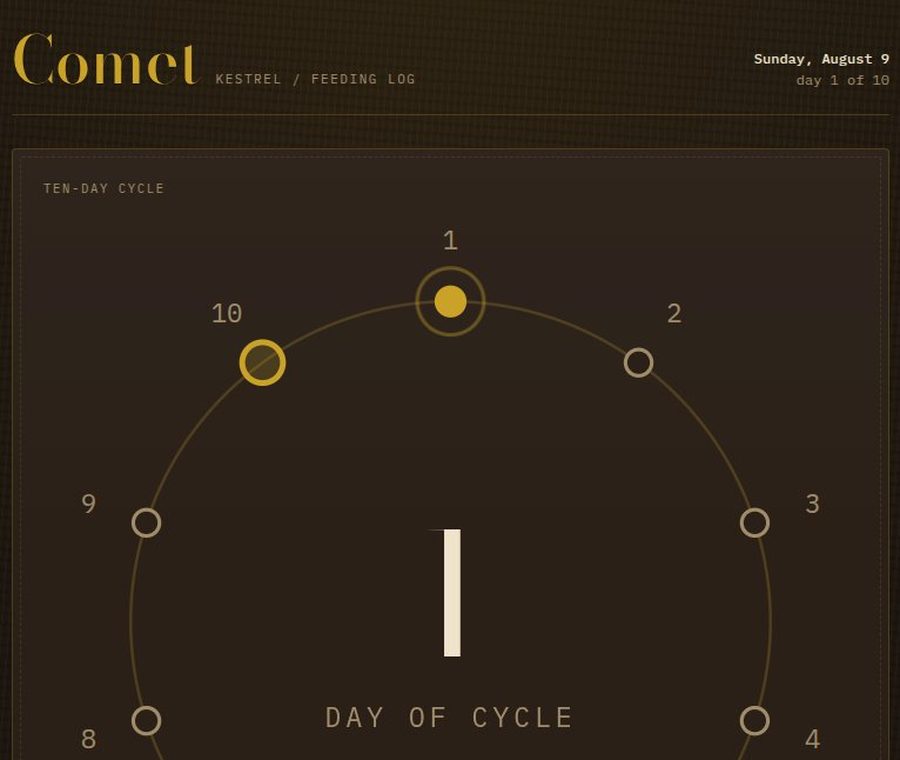 Comet feeding tracker